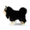 Rappa Plüschhund Lapinkoira 33 cm ECO-FRIENDLY