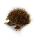 Rappa Plüschigel aus Australien 24 cm ECO-FRIENDLY