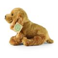 Rappa Plüschhund Cocker Spaniel 23 cm ECO-FRIENDLY