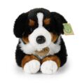 Rappa Plüsch-Berner Sennenhund 34 cm ECO-FRIENDLY