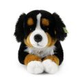 Rappa Plüsch Berner Sennenhund liegend 61 cm ECO-FRIENDLY