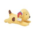 Regenbogen Plüsch Doggy Groß