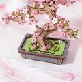 RoboTime 3D-Holzpuzzle Bonsai Sakura