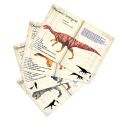 Vilac Dinosaurier-Magnete