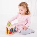 Bigjigs Baby Roller mit Formen