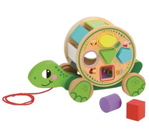 2Kids Toys Nachzieh-Schildkröte