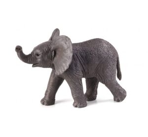 Mojo Elefant Afrikanischer Elefantenkalb