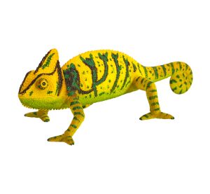Mojo Chamäleon