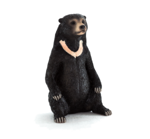 Mojo Malaienbär