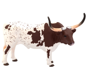 Mojo Texas Longhorn Bulle