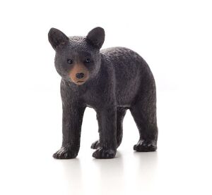 Mojo Amerikanischer Schwarzbär Junge