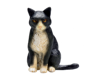 Mojo Katze schwarz und weiß sitzend