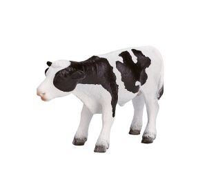 Mojo Holstein-Kalb stehend