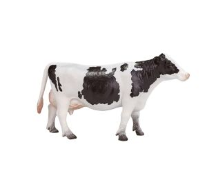 Mojo Holstein-Kuh