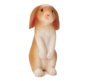 Mojo Kaninchen sitzend