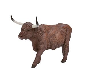 Mojo Schottisches Hochlandrind Bulle