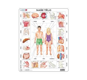 Larsen Lernpuzzle Unser Körper 35 Teile