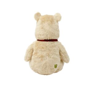 Rainbow Teddybär Puuh