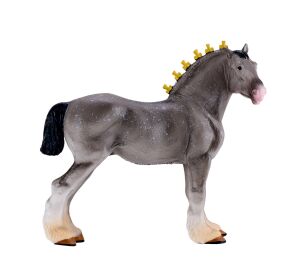 Mojo Shire Horse Apfelschimmel