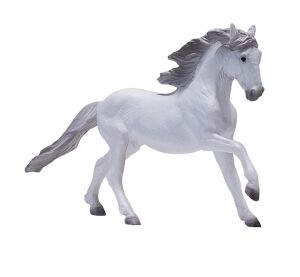 Mojo Lusitano Pferd weiß