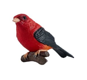 Mojo Scarlet Tanger