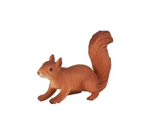 Mojo Eichhörnchen läuft