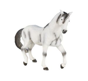 Mojo Andalusier grau