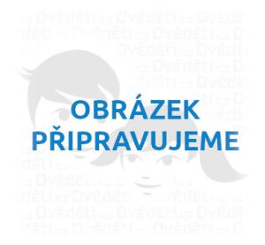 Bigjigs Spielzeugkatalog 2025