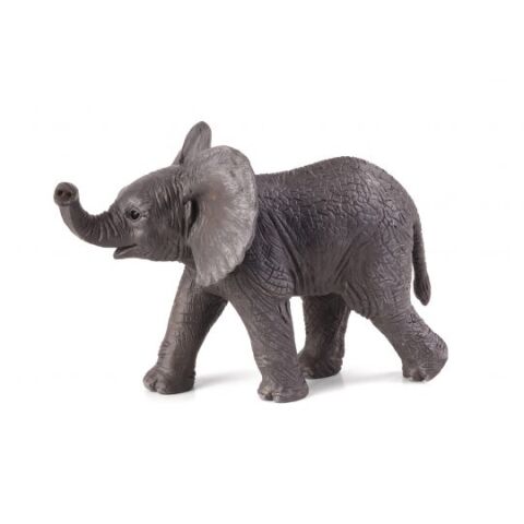 Mojo Elefant Afrikanischer Elefantenkalb
