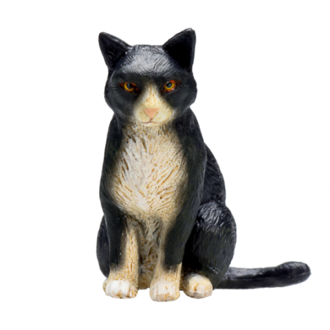 Mojo Katze schwarz und weiß sitzend