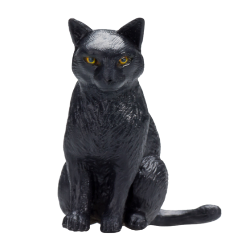 Mojo Katze schwarz sitzend