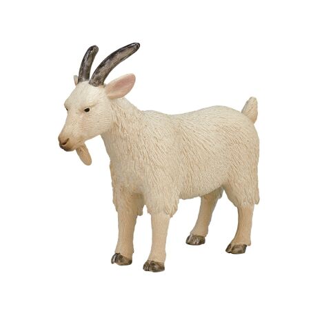 Mojo Ziege