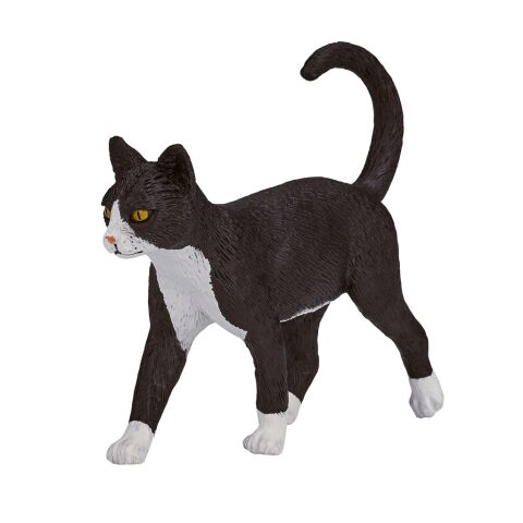 Mojo Katze schwarz und weiß