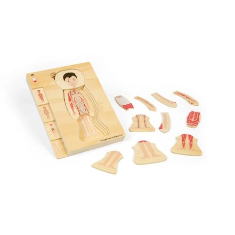 Bigjigs Toys Holzpuzzle Anatomie Junge