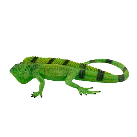 Mojo Leguan