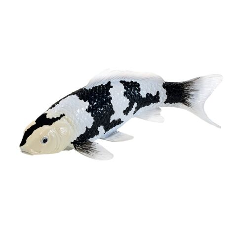 Mojo Koi Shiro Utsuri