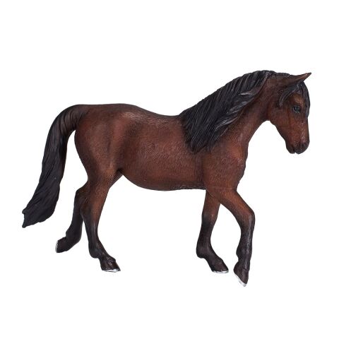 Mojo Morgan Pferd braun
