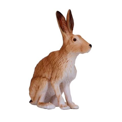 Mojo Hase sitzend