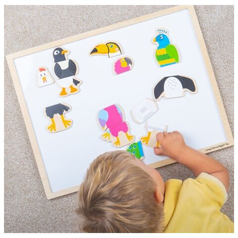 Bigjigs Toys Vogelfreunde Magnete