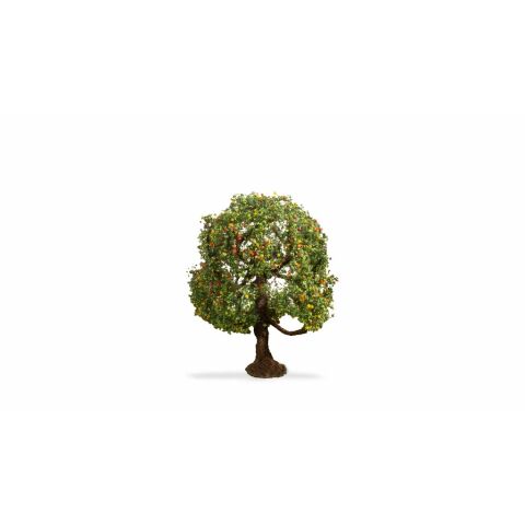 Noch Apfelbaum